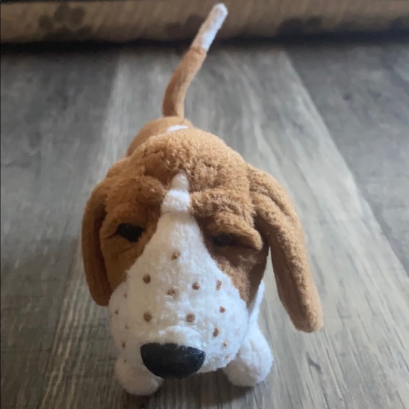 american girl kit's dog grace